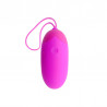 Pretty Love Egg Vibrador 12V - Sweet Sin Erotic