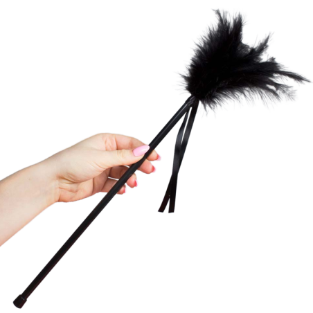 SECRETPLAY - PLUMERO PLUMAS NEGRO 40 CM